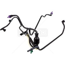 Rapro Mazot Boru Takımı BIPPER-P206-P206 -P207-P307-XSARA Iı-C2-C3 1.4 Hdı DV4TD