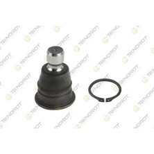 Teknorot Rotil Alt Sağ-Sol Nıssan Qashqaı 1.5l Dci K9K Dizel 1.6l HR16DE J10DE 06-13-X-Traıl 2.0l QR20 M9R Mr 20DE T31 07-13-Murano 2.5l 3.5l Z50 Z51 05->