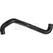 Rapro Radyatör Alt Hortumu Peugeot 206 2.0 Hdı 99-00