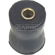 Rapro Salıncak Lastigi Arka Renault 12
