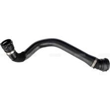 Rapro Radyator Hortumu Alt Bmw B46 B48 G30 G31 G38 G32 G11 G12