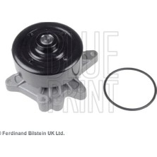 Blue Print Devirdaim Su Pompası Toyota Avensıs 1.6l 3zzfe ZZT250 03-08 / Corolla 1.4l 4zz-Fe ZZE120 Vvti 02-06 / 1.6l 3zz-Fe ZZE121 Vvti 02-06 / Verso 1.6l 3zz-Fe ZNR10 04->