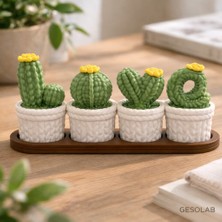Gesolab Love Yazılı 4’lü Kaktüs Dekor Seti – Kapaklı Mini Saklama Kutulu Örgü Desenli Plastik Saksılar -20CM