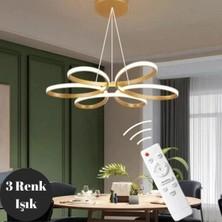 Empressco Eskitme Sarkıt Avize, Modern Kumandalı, 3 Renk Ledli, Şık ve Fonksiyonel