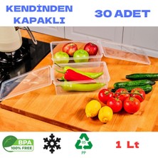 Empressco 30'lu Set Saklama Kabı, 1 Litre, Kendinden Kapaklı, Kilitli, Hava Almaz