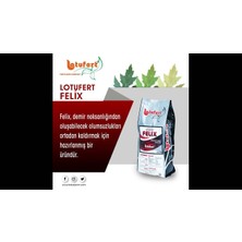 Lotufert Felix 1 kg Demir Gübresi (Bitkilerde Sararmalara Karşı)
