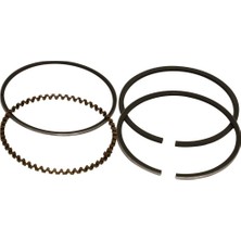 Essan Palmera WM168 / PA065 Benzinli Motor Segman Takımı (68MM)