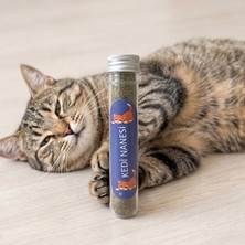 Kap Kaç Doğal Kedi Nanesi (Catnip) - 45 ml Tüp - Pratik ve Taze