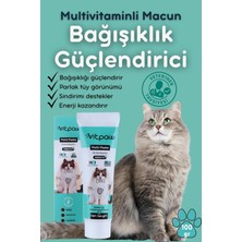 Vitpaw Multi Paste 100 Gr.(Kediler Için Bağışıklık Güclendirici Tüy Yumağı Önleyici Multivitamin)