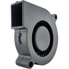 Berry Store 40X40 12V Dc Salyangoz Fan