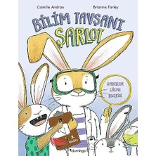 Berry Store Bilim Tavşanı Şarlot: Problem Çözme Becerisi
