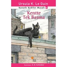 Veloro Kanatlı Kediler Masalı 4 - Kentte Tek Başına