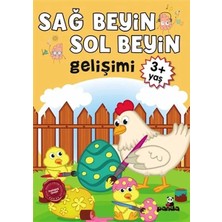 Veloro 3 Yaş Sağ Beyin-Sol Beyin Gelişimi