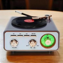 Belirtilmemiş Metalik Nostaljik Tasarım Plak Çalar Görünümlü Radyolu Bluetooth Hoparlör Müzik Plak