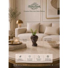 BitkiTÜRK Helen Beton Saksıda Portulacaria Afra Sukulent Canlı Bitki Dekoratif Saksı Ev ve Ofis Dekoru