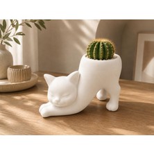 Sylva Concept Dekoratif Kedi Saksı – Modern Minimal Tasarım | Kaktüs ve Sukulentler Için Şık Saksı