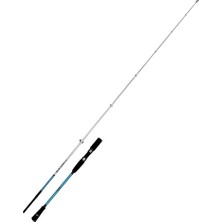 Fujin Bluegame 203CM 60-140GR Jig ve Tekne Olta Kamışı