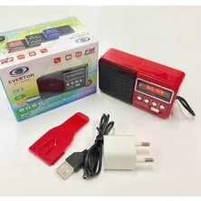 Mudanis RT-303 USB ve Micro Kart Girişli Manuel El Radyosu