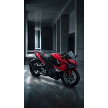 Bajaj Rs 200 Winglet Kanat Spoıler