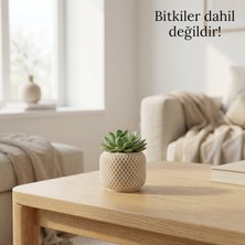 binbirdemet Minimal Beton Sukulent Saksısı | El Yapımı Dekoratif Bitki Saksısı | 5,5 cm Uyumlu | Terracotta, Beyaz ve Beton Renk Seçenekli