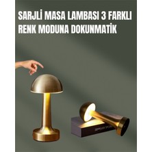 Miyango %100 Kademeli Ayarlanabilir Işık – USB Şarjlı Masa Lambası - ETC7151-6249