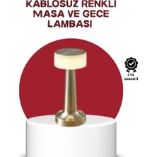 Miyango Şarj Edilebilir LED Masa Lambası – USB Girişli Metal Yapı - ETC3066-3361