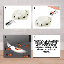 Mayf Raid 2 Parça  Karınca Yemi (5332)