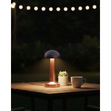 Miyango Modern Bronz Masa Lambası 3 Renk LED Dokunmatik Şarjlı Model - ETC3978-5507