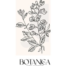 Kanvas Tr Botanica Yazılı Minimalist Çiçek Çizimi Line Art Kanvas Tablo