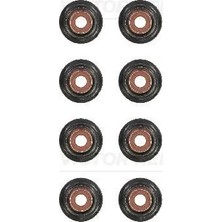 V.REİNZ Supap Lastiği Ford-Peugeot-Cıtroen-Fıat-Volvo 03> 2.0 Tdci DW10 8 Adet Mondeo-Focus Iı-C-Max-Kuga-Scudo 2.0 Hdı-Tdcı