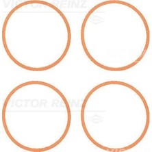 V.REİNZ Emme Manıfold Conta Takımı Bmw N13 F20 F21 F30 F31 F35 Bmw N13 F20 F30