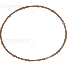 V.REİNZ Emme Manıfold Contası Bmw N13 F20 F21 F30 F31 F35 . Grandland-Astra L-P207-P208-P308-P508-P3008-P500 8-C4-C5-Ds3 1.6 Thp Ds4 Gaz Kelebegı