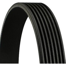 Bando Kanallı Kayış Nıssan Qashqaı J10 / Opel Movano. Vıvaro / Renault Fluence / Toyota Land Cruıser