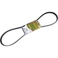 Bando Kanallı Kayış Peu 205 1.8 Clıo G4PK1213 48382
