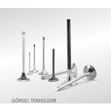 Tetik Emme Egzoz Subap Takımı Bmw 325İ Cabrio 24V-525IX Touring 24V 0764-11-0765-11