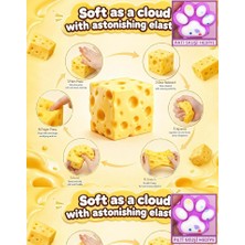 Oyuncak Sahili Cheese Peynir Squishy ve Kedi Patisi 2 Ürün Chese Viral Oyuncak Sukuşi Trend Skuşi Yavaş Yükselir Slow Rising