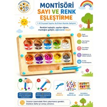 Montessori Manyetik  Labirenti - 3+ Yaş Ince Motor Geliştirici ve Eğitici Ahşap Oyun