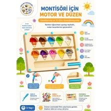 Montessori Manyetik  Labirenti - 3+ Yaş Ince Motor Geliştirici ve Eğitici Ahşap Oyun