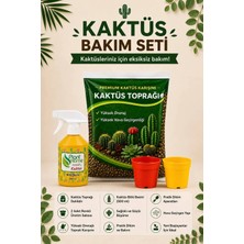 Nexvoria 3 Litre Kaktüs Toprağı | 500 ml Kaktüs Bitki Besini + 2 Adet Üretim Saksısı | Kaktüs Bakım Seti