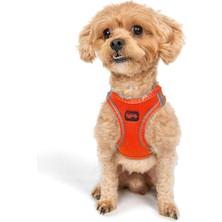 Tailpetz -Mesh Küçük Orta Irk Göğüs Tasması - Yumuşak, Nefes Alabilir, Dayanıklı (-Turuncu, 2xs)