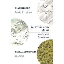 The Purest Solutions Exfoliating Salicylic Acid Cleanser Temizleyici 400 ml