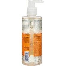 By Sweden Sea Buckthorn Yüz Yıkama Jeli Yağlı ve Karma Ciltler Için 250 ml (3 Paketi)