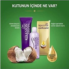 Naturals Orta Kestane 5/37