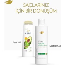 Şampuan Avocado Dökülme Karşıtı 375 ml