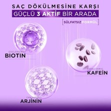 Biotin Kafein Arjinin Şampuan – Saç Dökülmesine Karşı Güçlü Bitkisel Formül, Sülfatsız, Bıocomplex B19 Ile, 400 ml (2 Paketi)