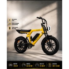 Ape Ryder Colobus Premıum 750W - Sarı