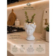 BitkiTÜRK Helen Beton Saksı + Afra Portulacaria Canlı Bitki | 14 cm Dekoratif Beton Saksı Seti | Ev ve Ofis Dekoru
