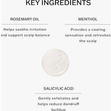 Sachajuan Scalp Treatment Duo 90 ml 3.0 Fl Oz