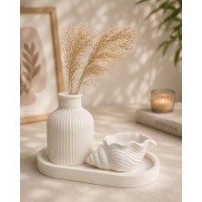 Masalsı Concept  3 Parçalı Dekoratif Set  Pampas Vazo Dekoratif Tabak Istiridye  3 Parça