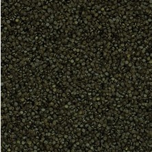 Tropical Super Spirulina Forte Mini Gran 50 Gram Açık Bölme
